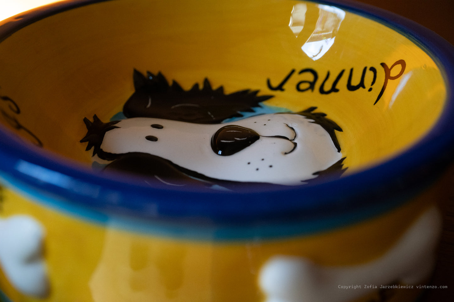 Rayware Hand Painted Dog Bowl