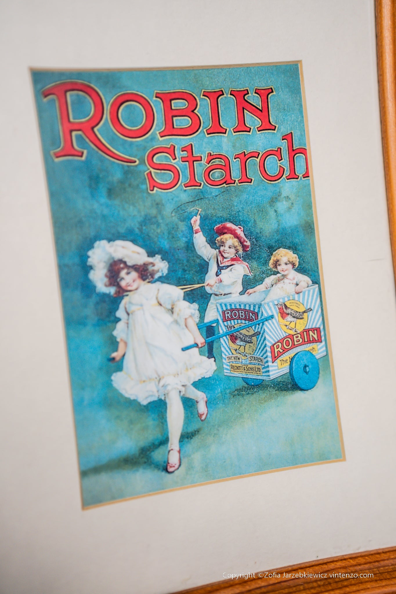Robin Starch Picture