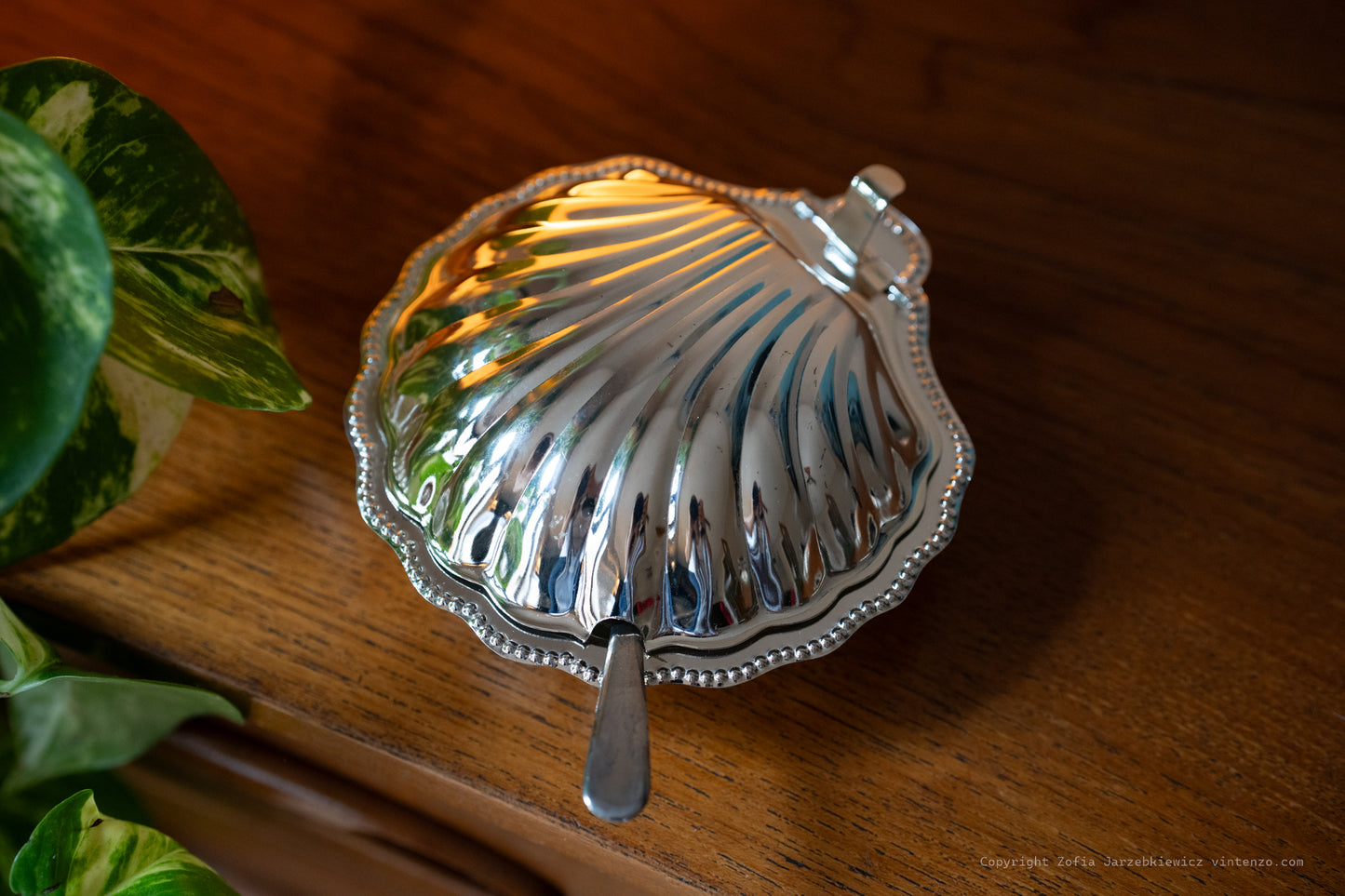 Vintage Shell-Shaped Butter Dish with Orogonal Spreader and Glass Container
