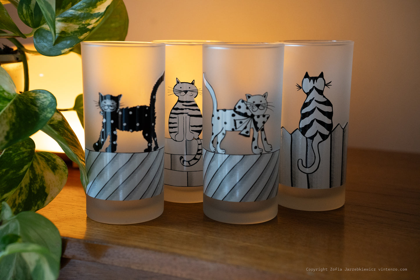 4 Frosted Cats On Fence Drinking Glasses