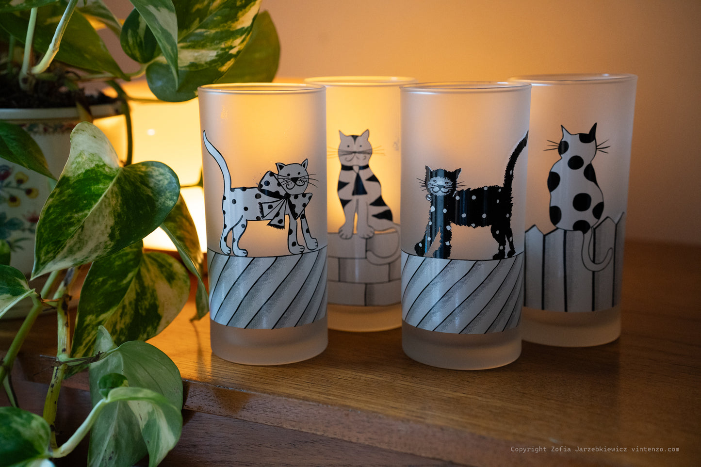 4 Frosted Cats On Fence Drinking Glasses