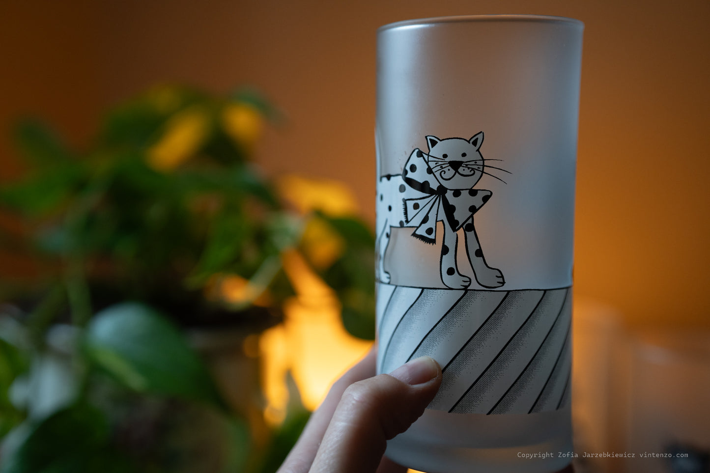 4 Frosted Cats On Fence Drinking Glasses