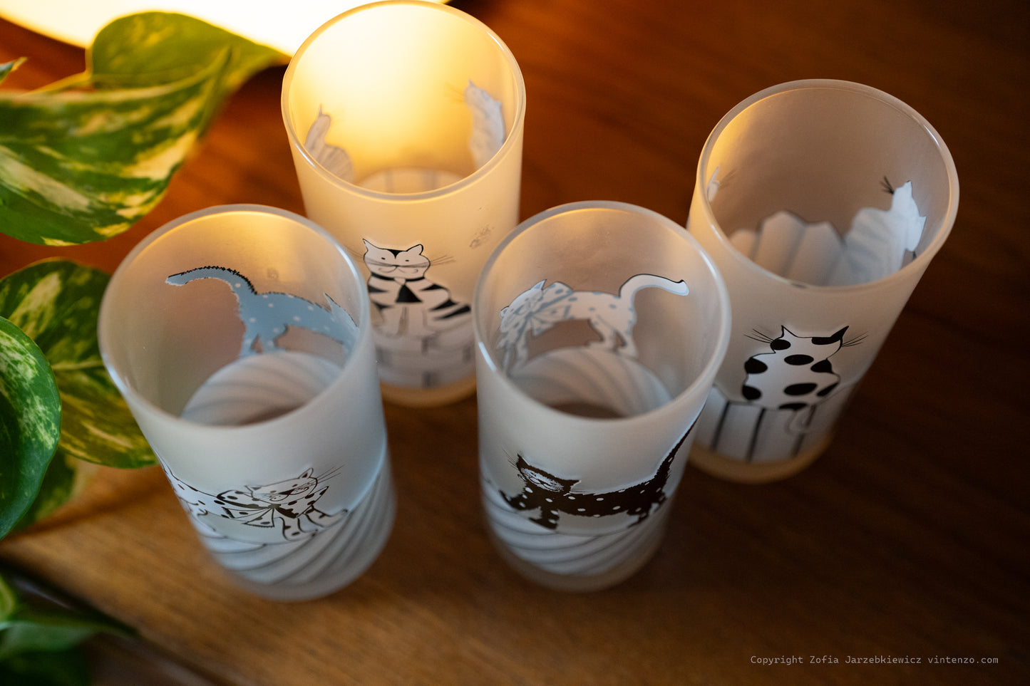 4 Frosted Cats On Fence Drinking Glasses