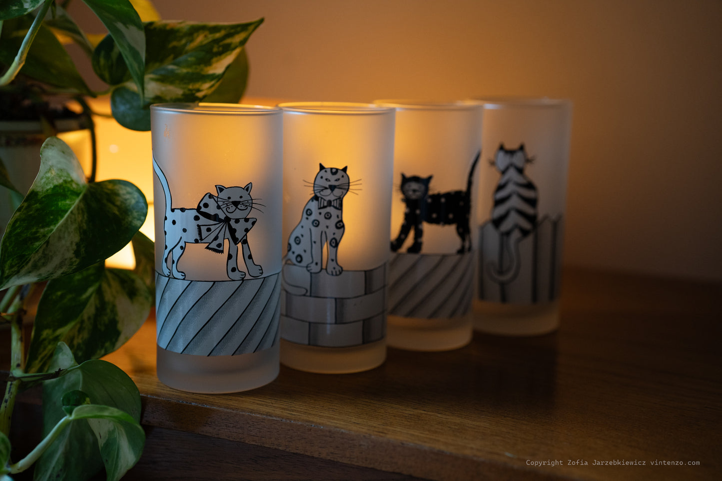 4 Frosted Cats On Fence Drinking Glasses