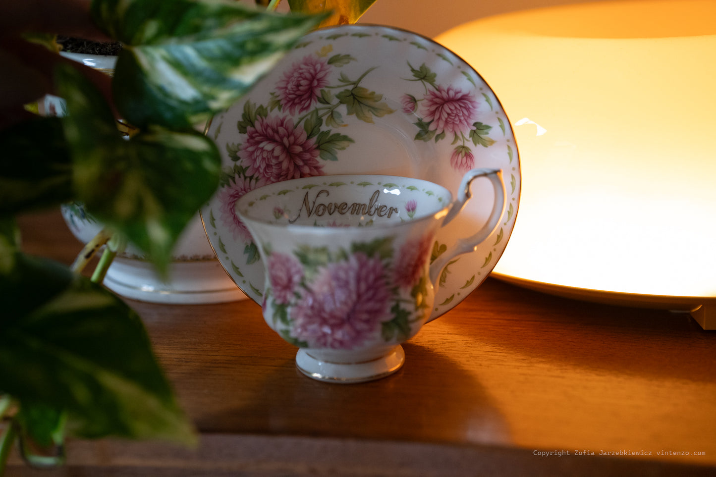 Royal Albert Flowers of The Month- November Cup and Saucer