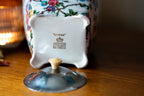 Midwinter Brama Chintz Biscuit Barrel