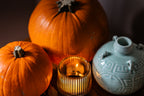 Chinese Celadon Ceramic Rice Wine Pot