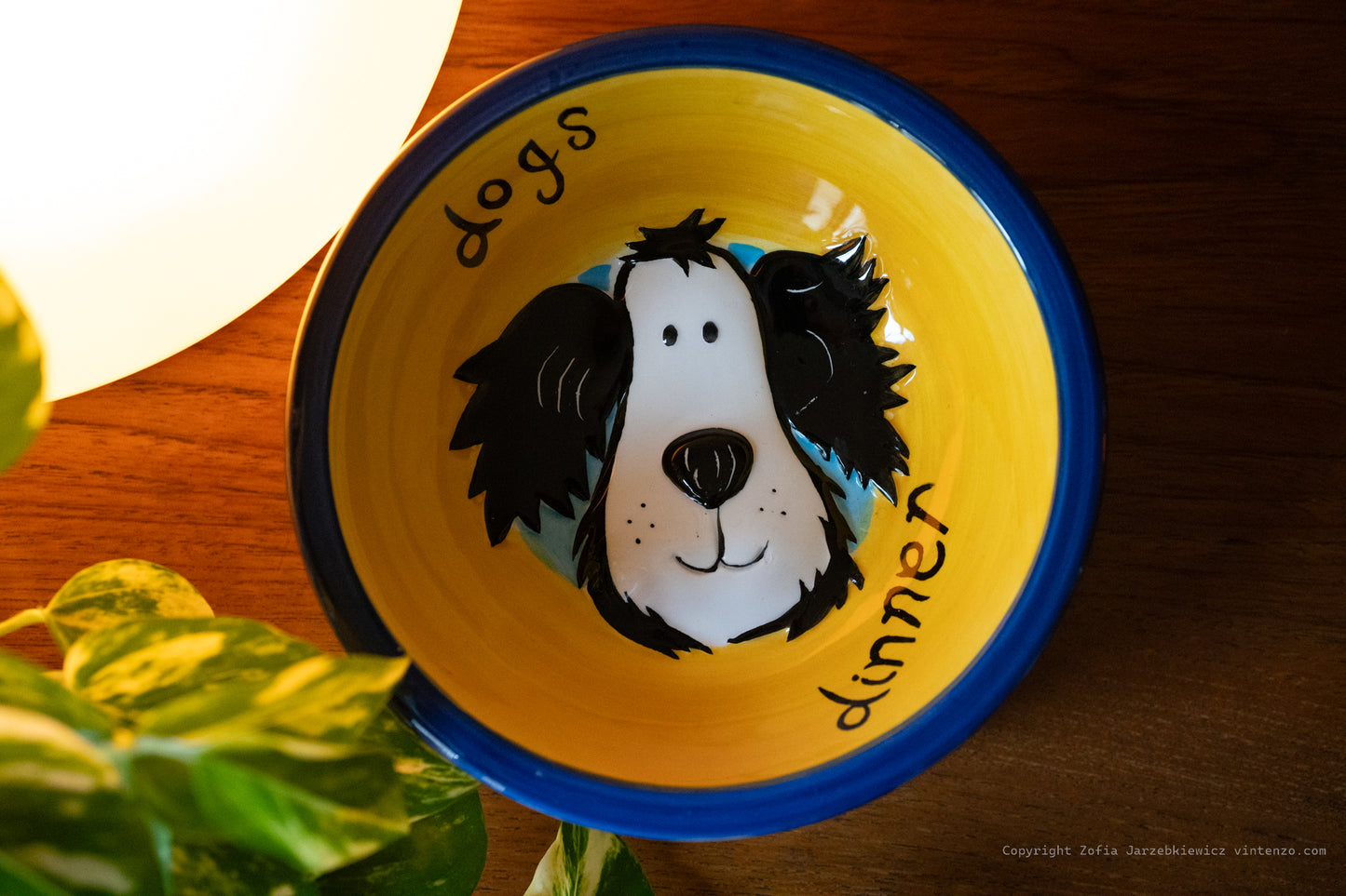 Rayware Hand Painted Dog Bowl