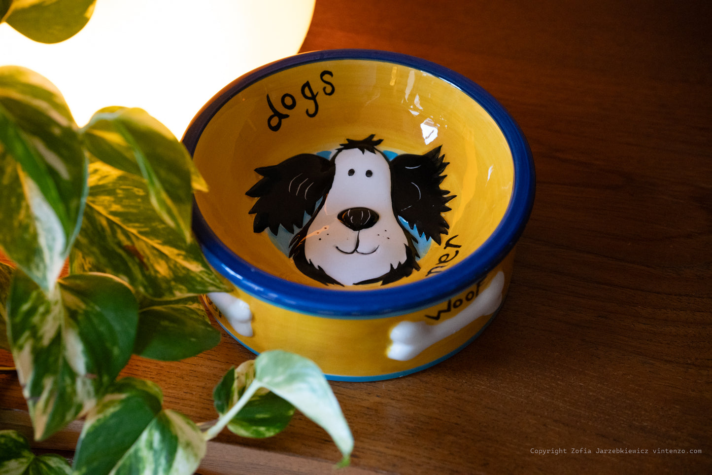Rayware Hand Painted Dog Bowl
