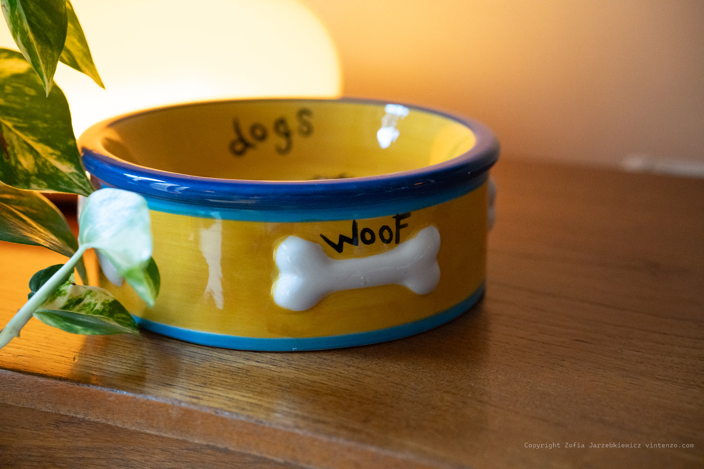 Rayware Hand Painted Dog Bowl