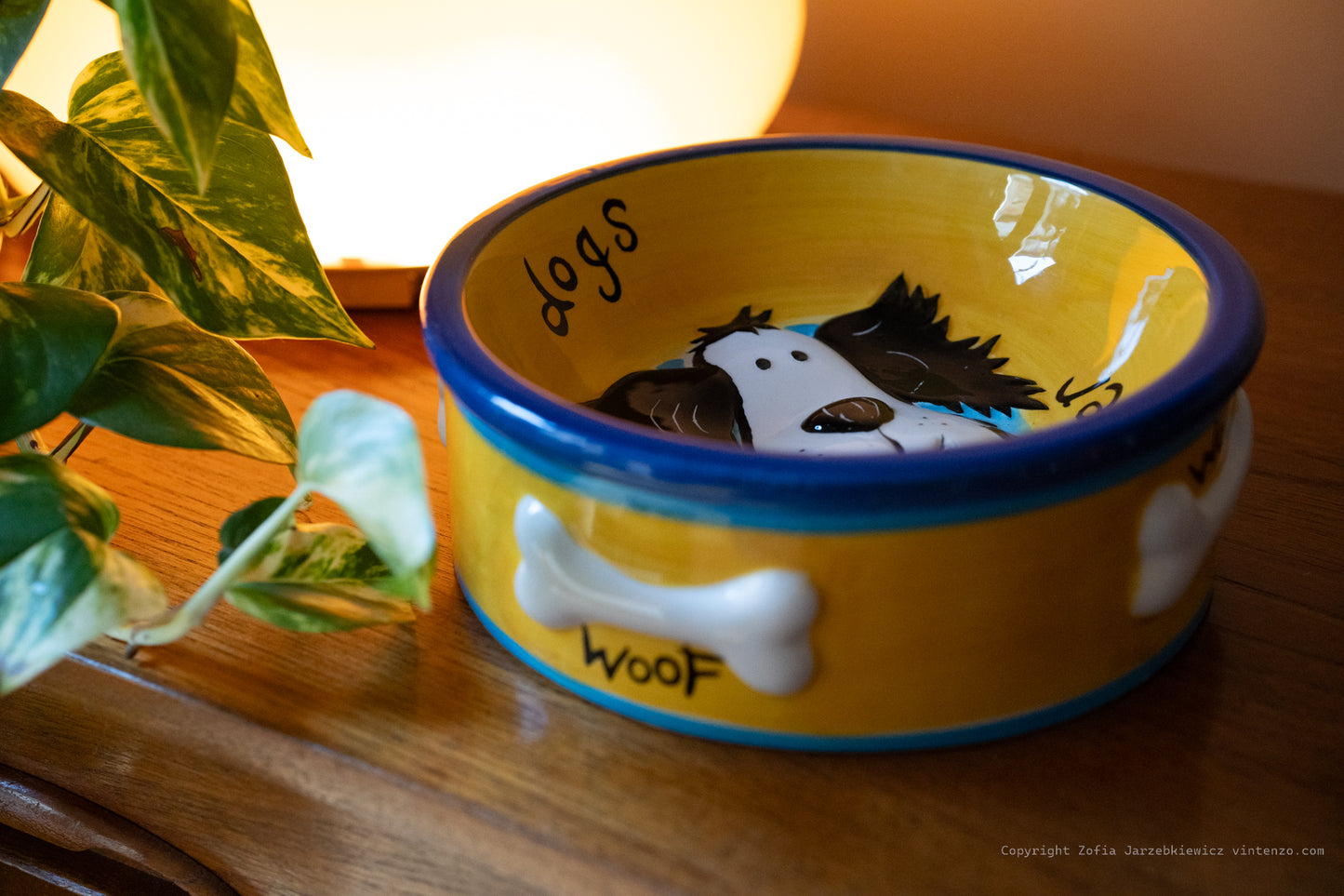 Rayware Hand Painted Dog Bowl