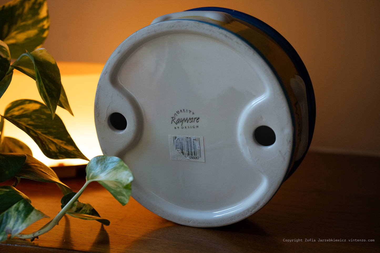 Rayware Hand Painted Dog Bowl