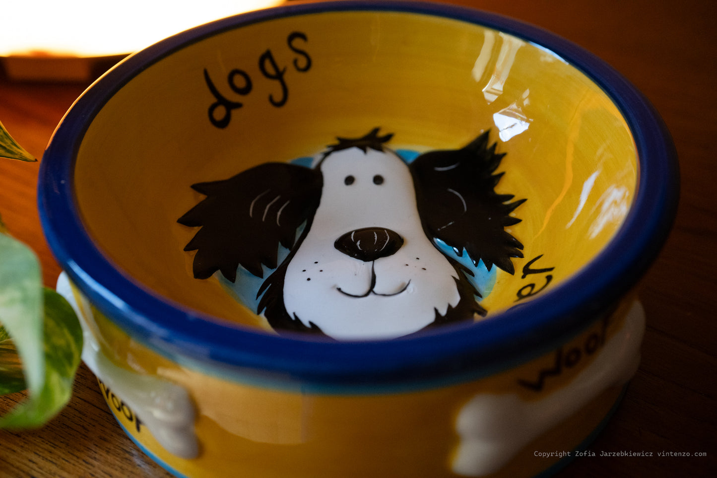 Rayware Hand Painted Dog Bowl