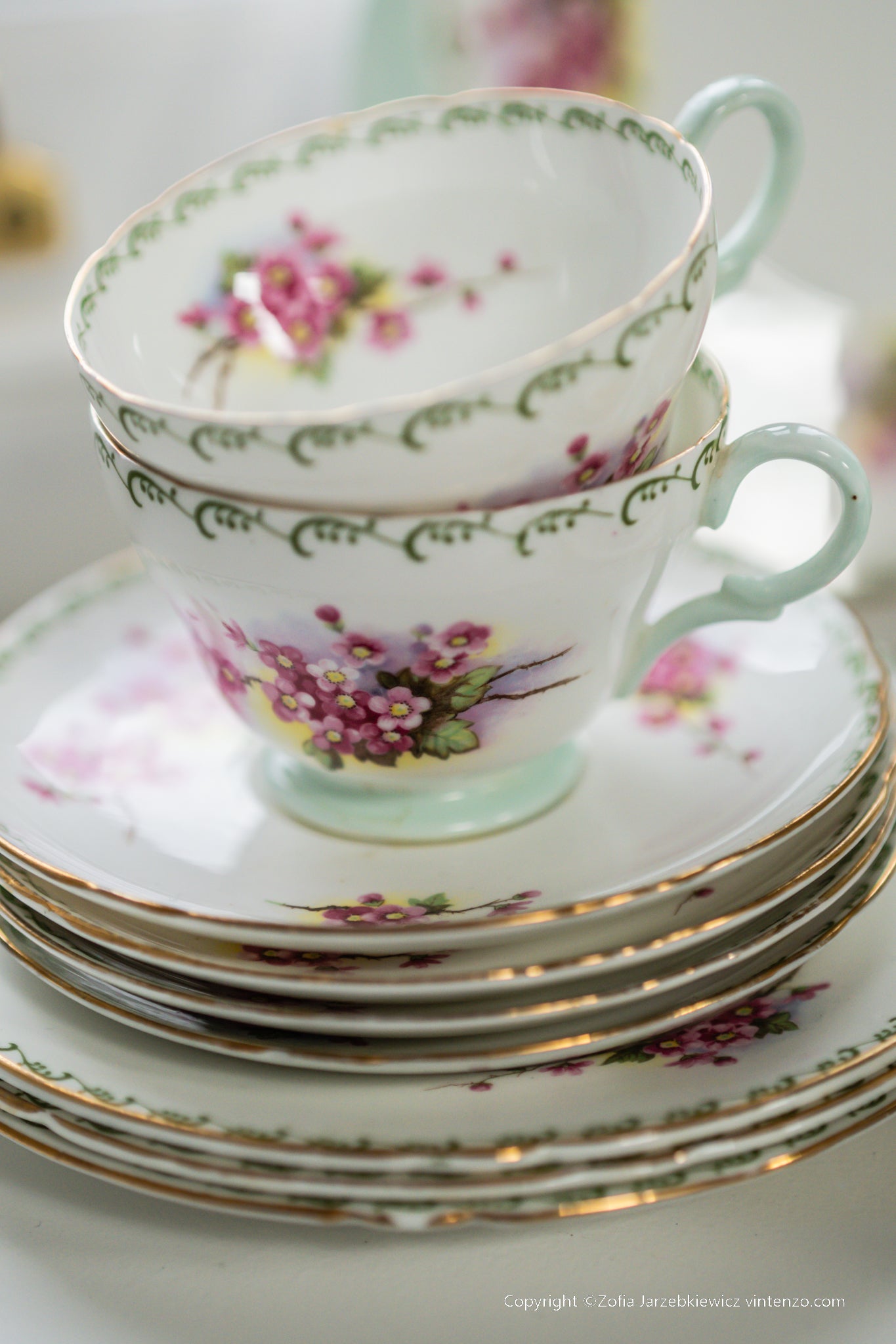 Shelley Rare Blossom Tea Set- Trios, Cake Plate, Milk and Sugar Bowl 21 Pieces