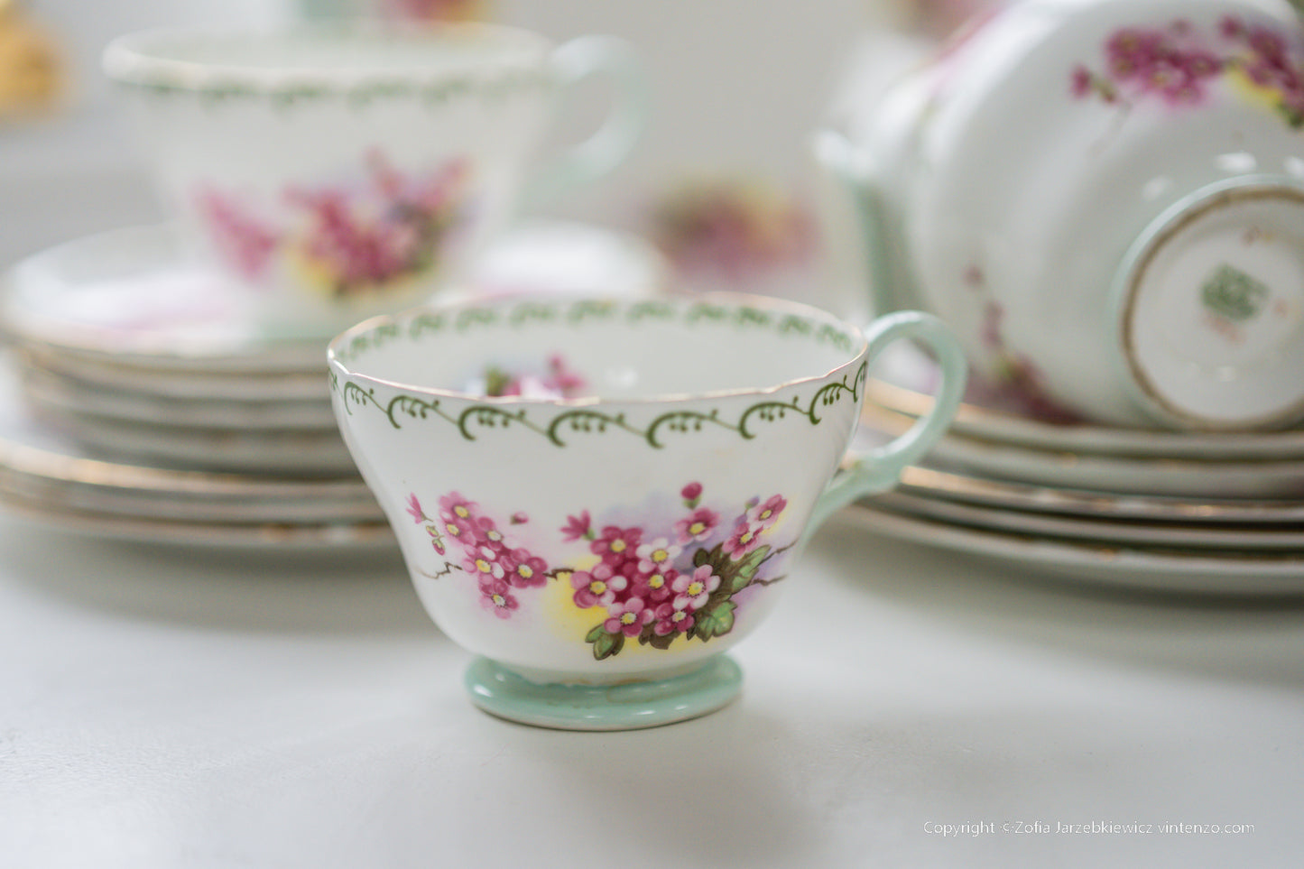 Shelley Rare Blossom Tea Set- Trios, Cake Plate, Milk and Sugar Bowl 21 Pieces