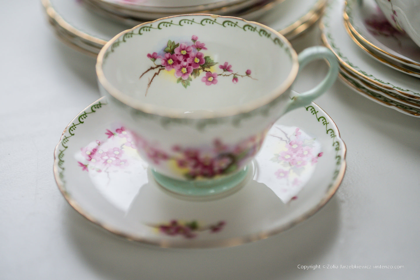 Shelley Rare Blossom Tea Set- Trios, Cake Plate, Milk and Sugar Bowl 21 Pieces