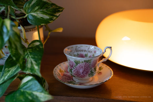 Royal Albert Flowers of The Month- November Cup and Saucer