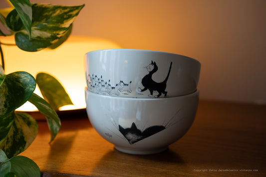 Vintage Decorative Cat Illustration Ceramic Albert Dubout Two Bowls